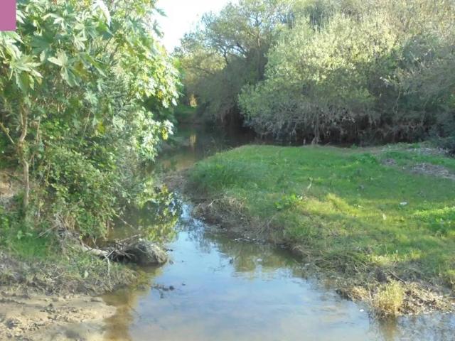 Casa rústica / Caserío en Venta en Alcalá de los Gazules