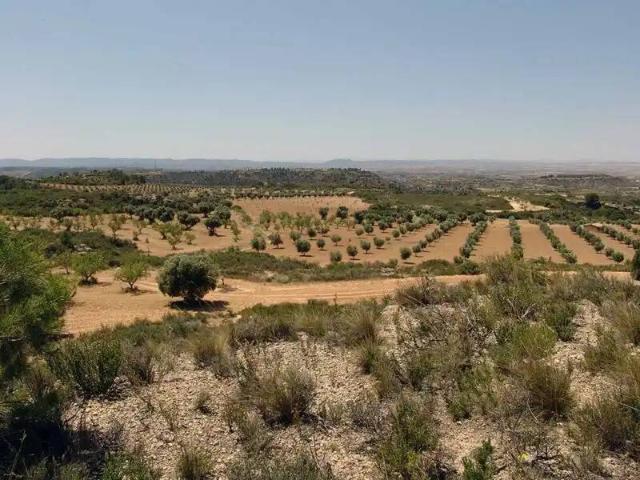 Casa rústica / Caserío en Venta en Alcañiz