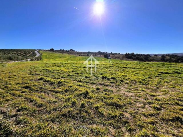 Terreno en Venta en Alhama de Granada