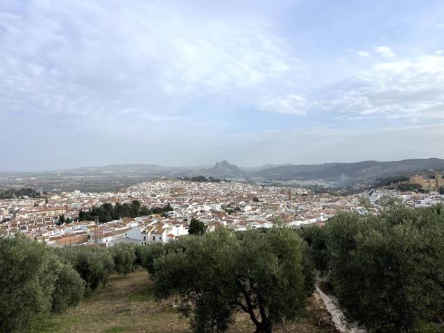 Casa rústica / Caserío en Venta en Antequera