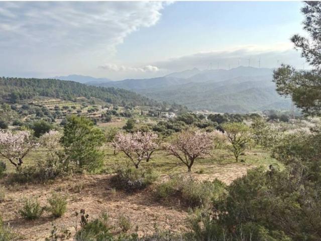 Casa rústica / Caserío en Venta en Ascó