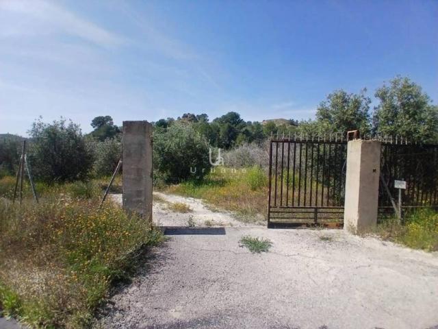 Casa rústica / Caserío en Venta en Aspe