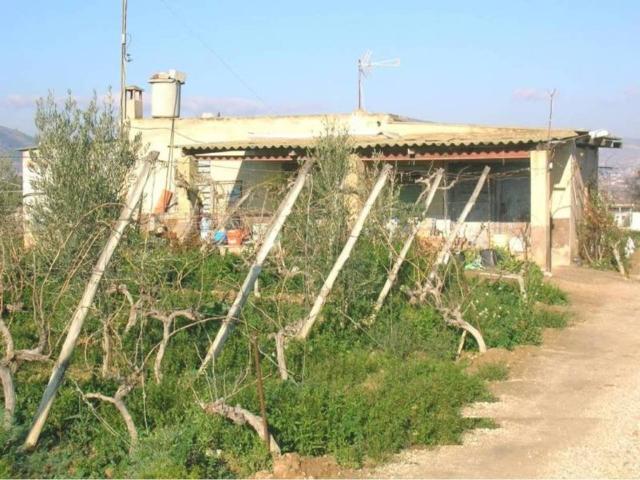 Casa rústica / Caserío en Venta en Aspe