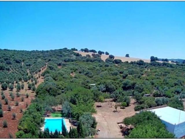 Casa rústica / Caserío en Venta en Arcos de la Frontera