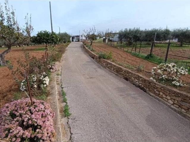 Casa rústica / Caserío en Venta en Arcos de la Frontera
