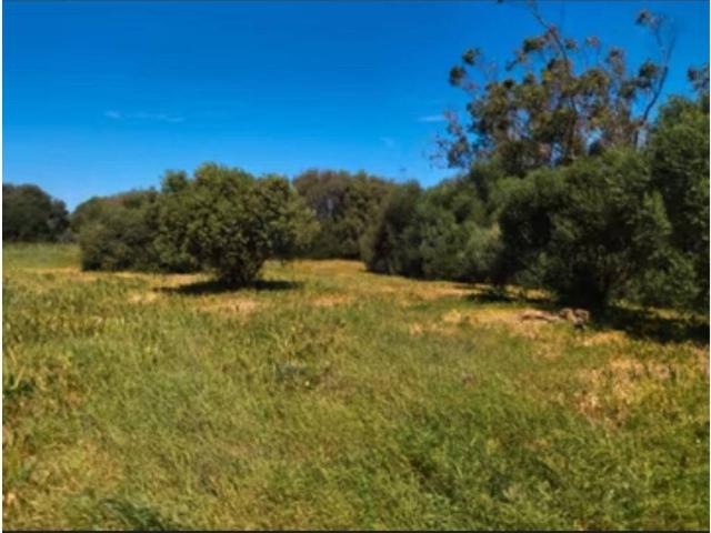 Casa rústica / Caserío en Venta en Barbate