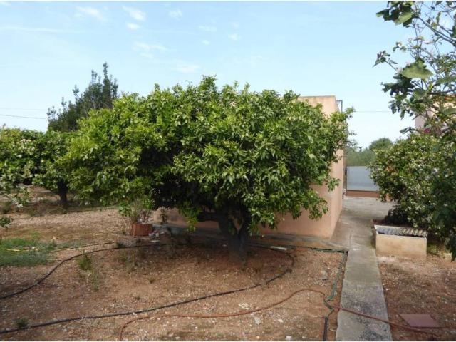 Casa rústica / Caserío en Venta en Benicarló