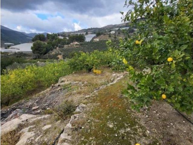 Casa rústica / Caserío en Venta en Bolulla