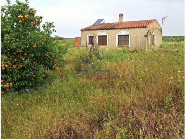 Casa rústica / Caserío en Venta en Bollullos Par del Condado