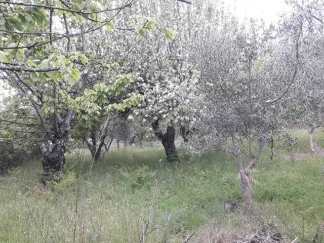 Casa rústica / Caserío en Venta en Candeleda