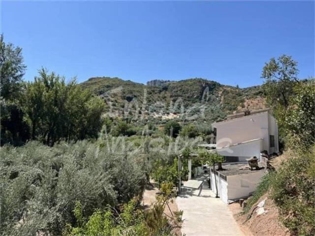 Casa rústica / Caserío en Venta en Castillo de Locubín