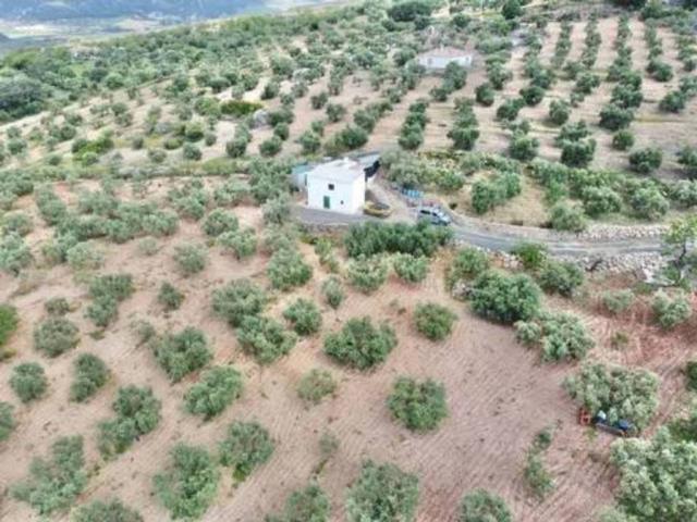 Casa rústica / Caserío en Venta en Casarabonela
