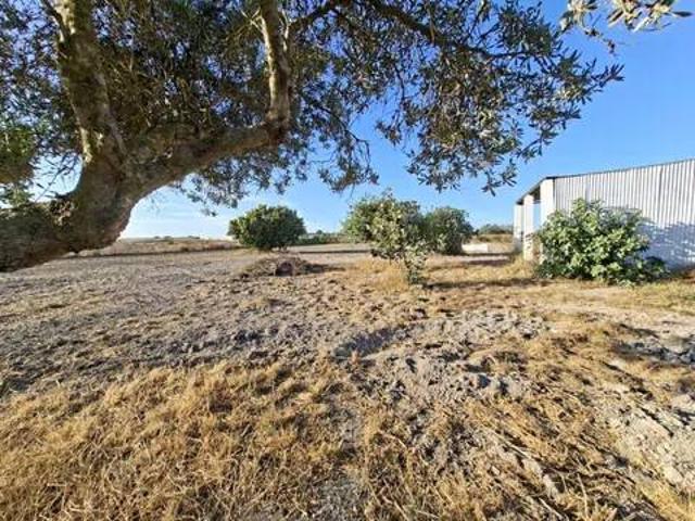 Casa rústica / Caserío en Venta en Chiclana de la Frontera