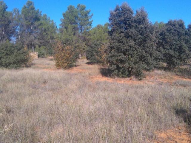 Casa rústica / Caserío en Venta en Cortes de Arenoso
