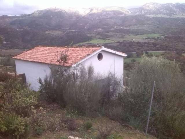 Casa rústica / Caserío en Venta en Cortes de La Frontera