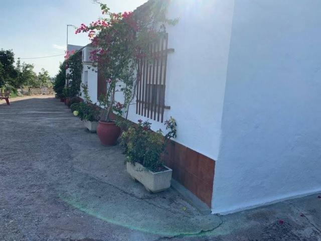 Casa rústica / Caserío en Venta en Córdoba