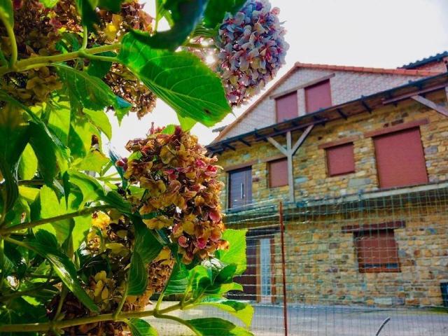 Casa rústica / Caserío en Venta en Cudillero
