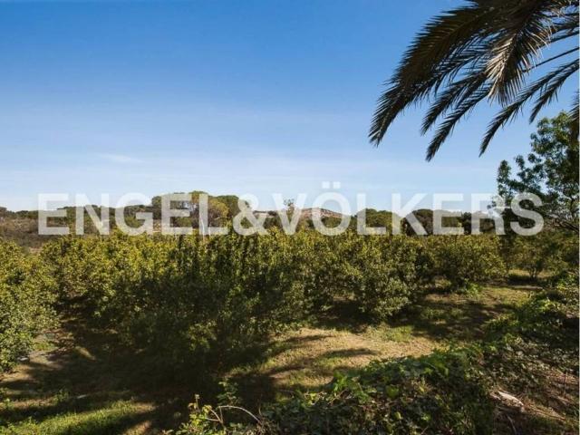 Casa rústica / Caserío en Venta en Cullera
