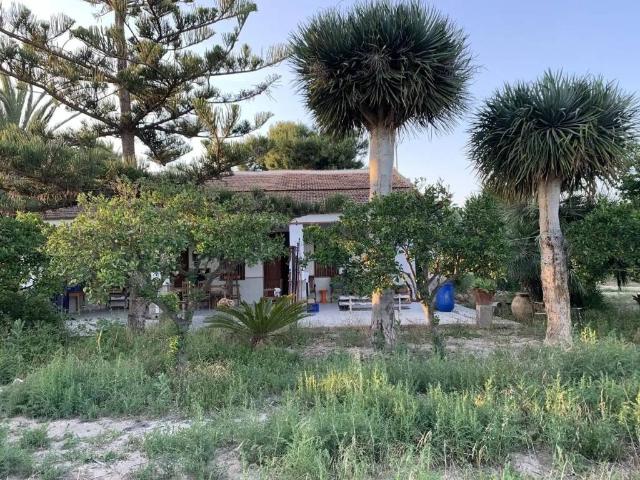 Casa rústica / Caserío en Venta en Elche Elx