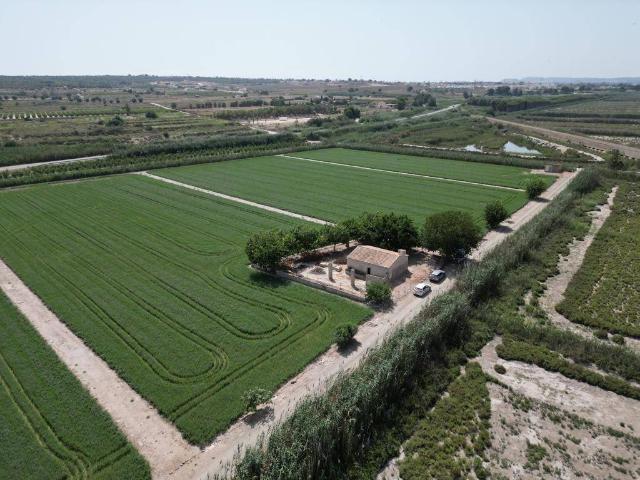 Casa rústica / Caserío en Venta en Elche Elx