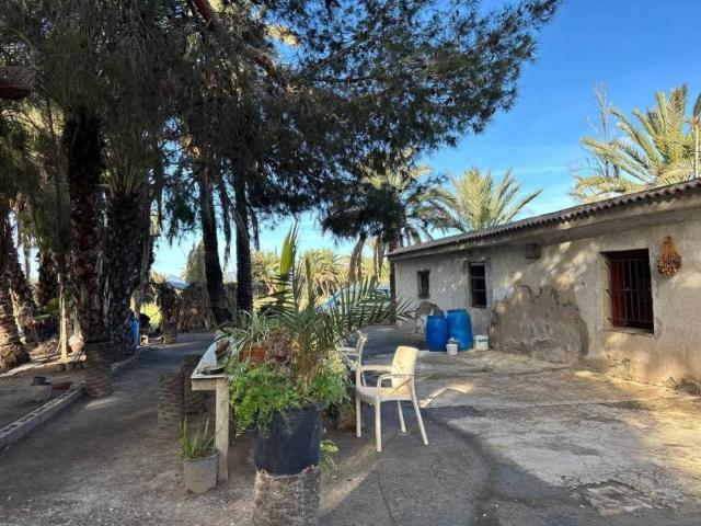 Casa rústica / Caserío en Venta en Elche Elx