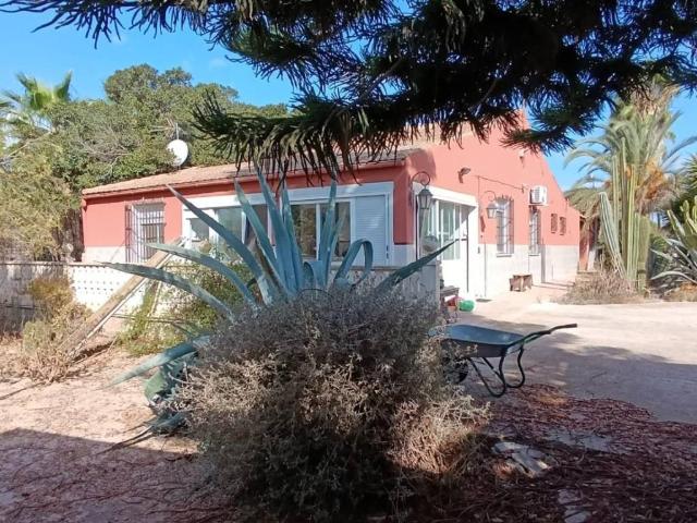 Casa rústica / Caserío en Venta en Elche Elx