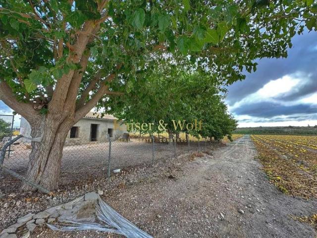 Casa rústica / Caserío en Venta en Elche Elx