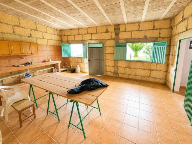 Casa rústica / Caserío en Venta en Fasnia