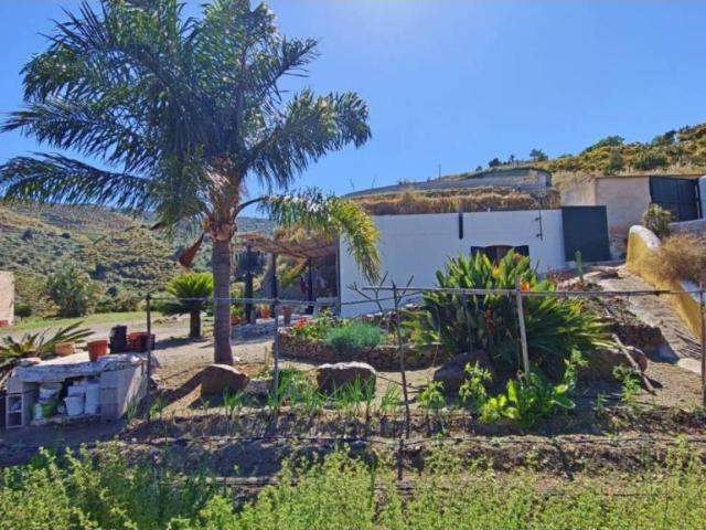 Casa rústica / Caserío en Venta en Frigiliana