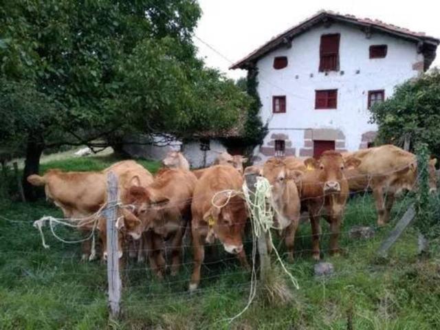 Casa rústica / Caserío en Venta en Gautegiz Arteaga