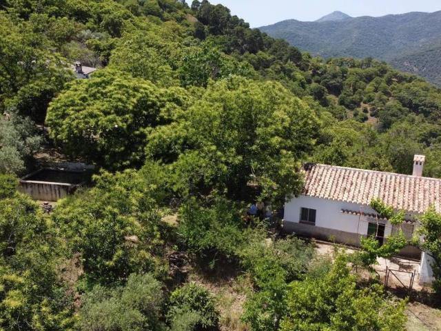 Casa rústica / Caserío en Venta en Genalguacil
