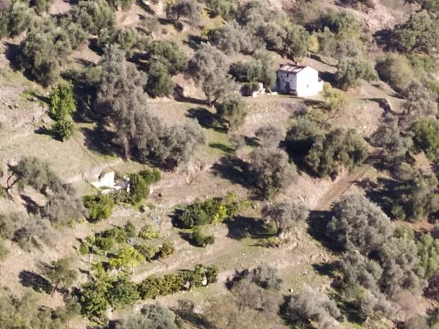 Casa rústica / Caserío en Venta en Genalguacil
