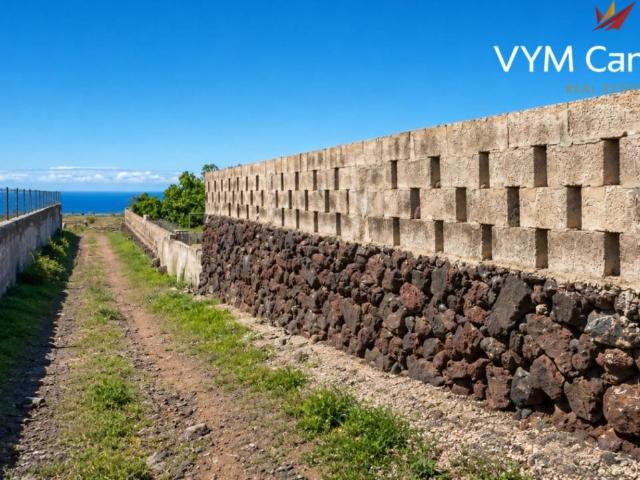 Casa rústica / Caserío en Venta en Granadilla de Abona