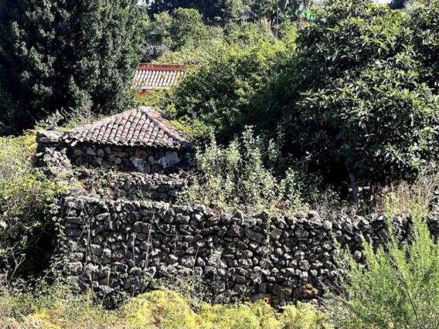 Terreno en Venta en Icod de Los Vinos