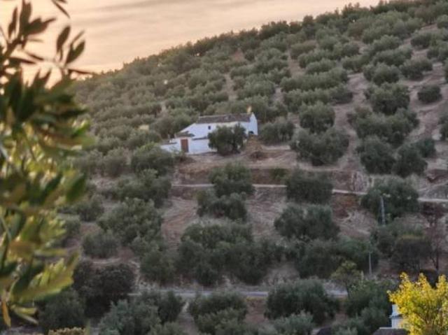 Casa rústica / Caserío en Venta en Iznájar