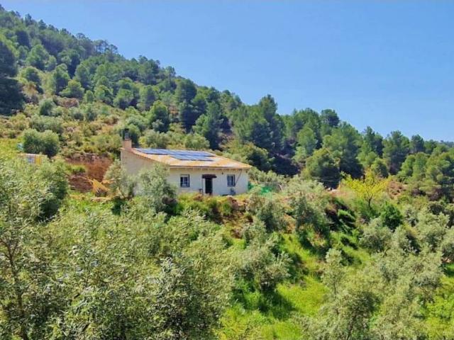 Casa rústica / Caserío en Venta en Jayena