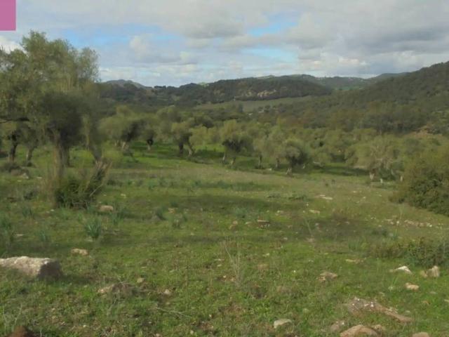 Casa rústica / Caserío en Venta en Jerez de la Frontera