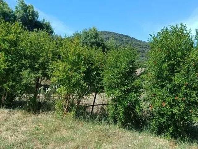 Casa rústica / Caserío en Venta en Jimena de la Frontera