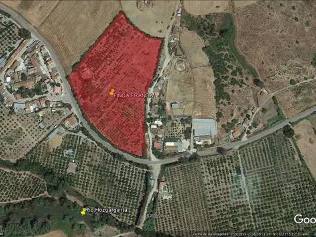 Casa rústica / Caserío en Venta en Jimena de la Frontera