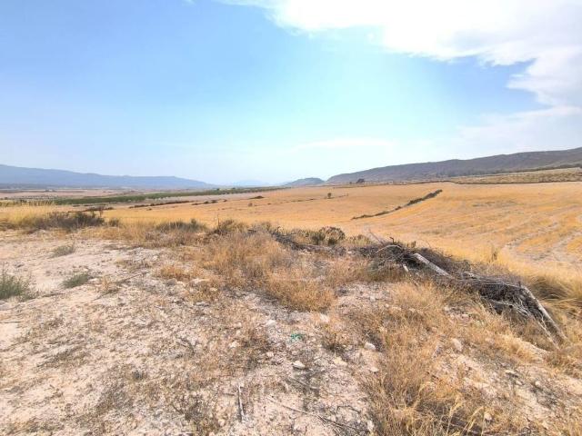 Casa rústica / Caserío en Venta en Jumilla