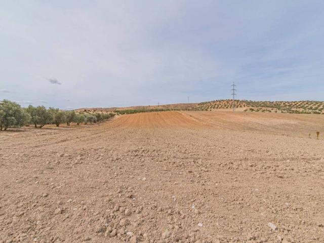 Casa rústica / Caserío en Venta en La Malahá