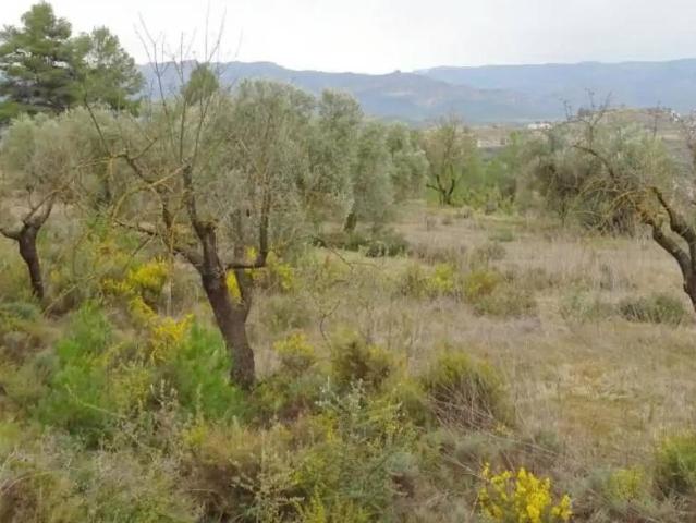 Casa rústica / Caserío en Venta en Lledó
