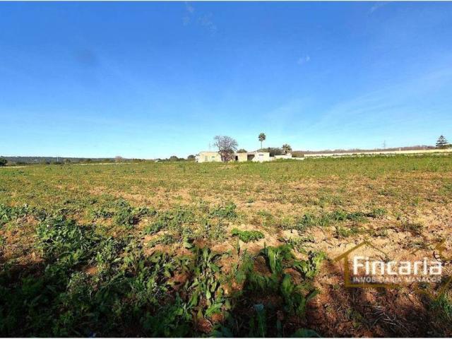 Casa rústica / Caserío en Venta en Manacor