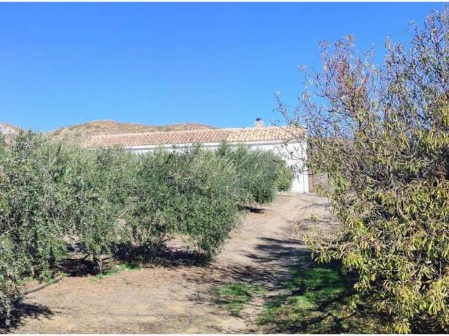 Casa rústica / Caserío en Venta en Macael