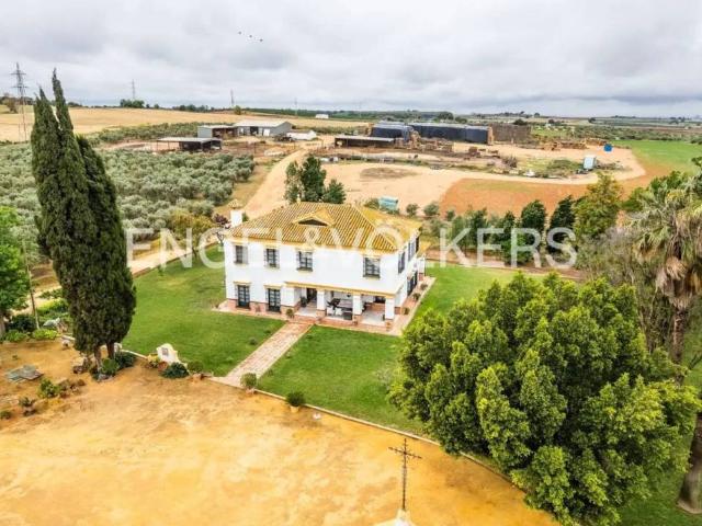 Casa rústica / Caserío en Venta en Mairena del Alcor