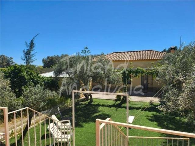 Casa rústica / Caserío en Venta en Marchena