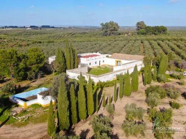 Casa rústica / Caserío en Venta en Marchena