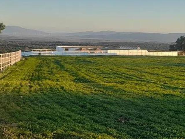 Casa rústica / Caserío en Venta en Medina Sidonia