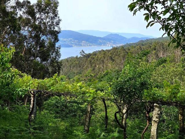 Casa rústica / Caserío en Venta en Meis