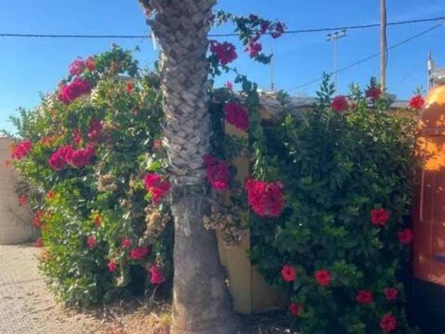Casa rústica / Caserío en Venta en Melilla